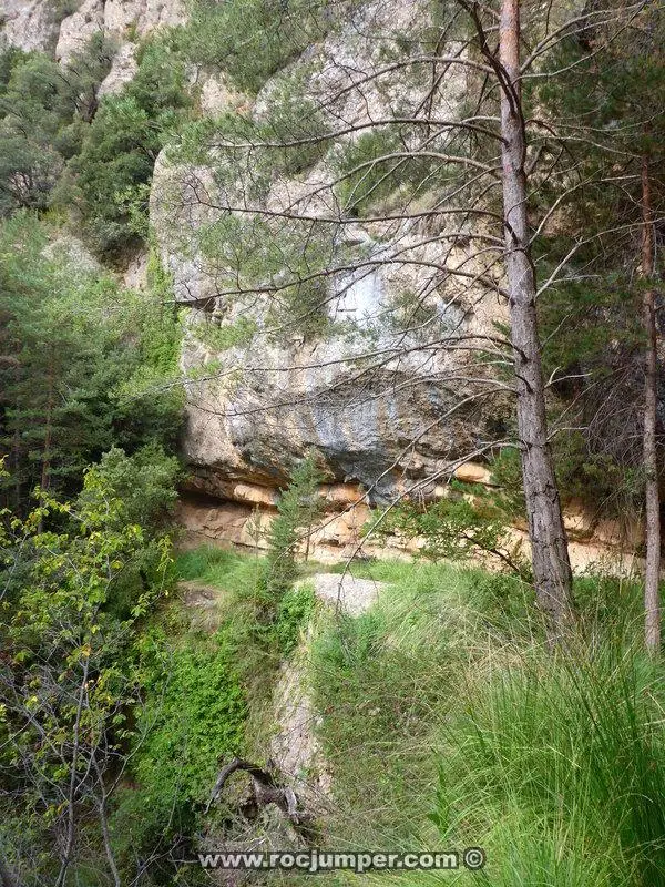 Barranco Aigua de Llinars o de Aiguadora