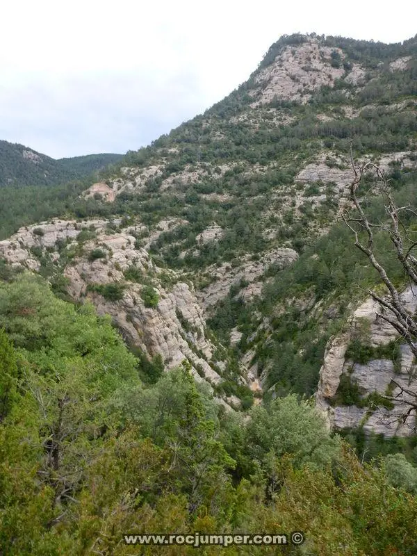 Barranco Aigua de Llinars o de Aiguadora
