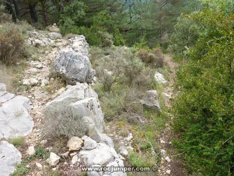Barranco Aigua de Llinars o de Aiguadora