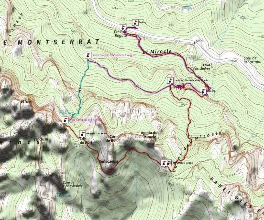 Canal de les Àligues o Torrent de Coll de Port
