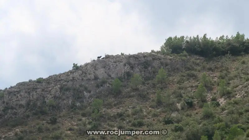Barranc de Padral