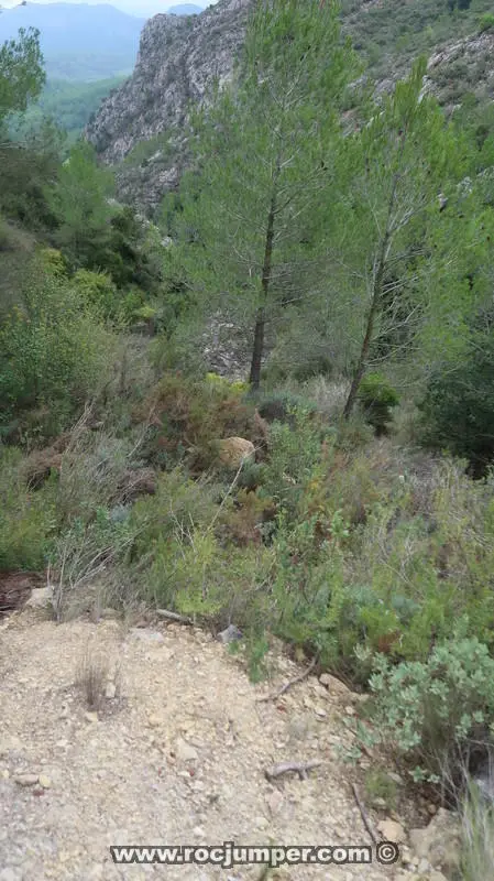 Barranc de Padral