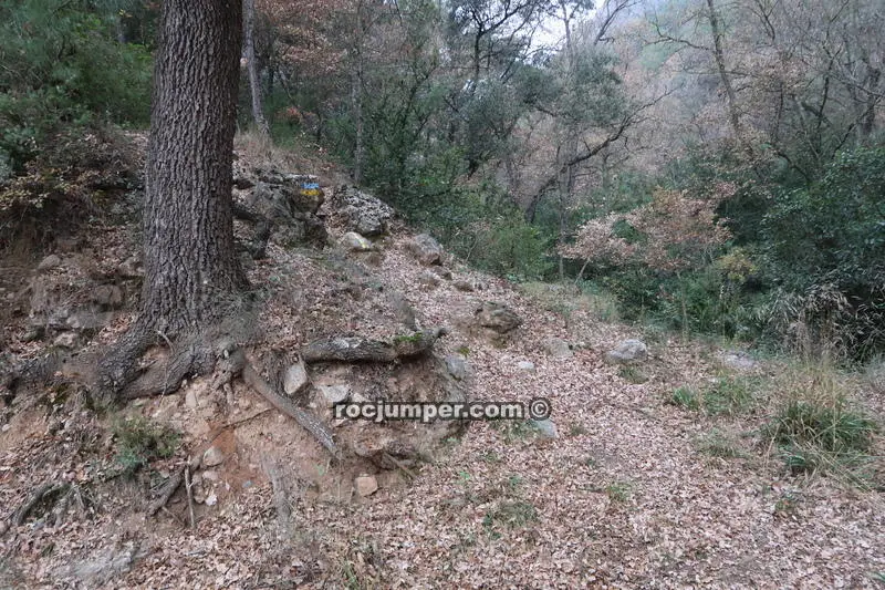 Barranc Roca de Corb + Barranc de Rombau + Sant Honorat 100 Cims + Barranc de Sant Honorat