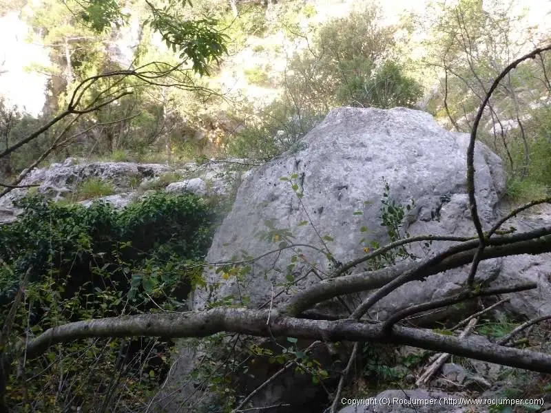 Barranco de Aveller