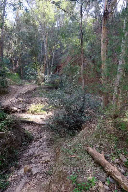 Barranco Picapedreros + Arroyo del Pastelero
