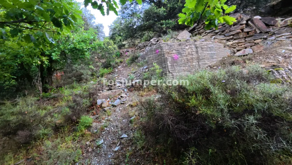 Barranc de Barraonse