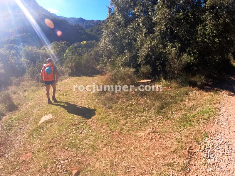 Barranc del Bosc de Serradell
