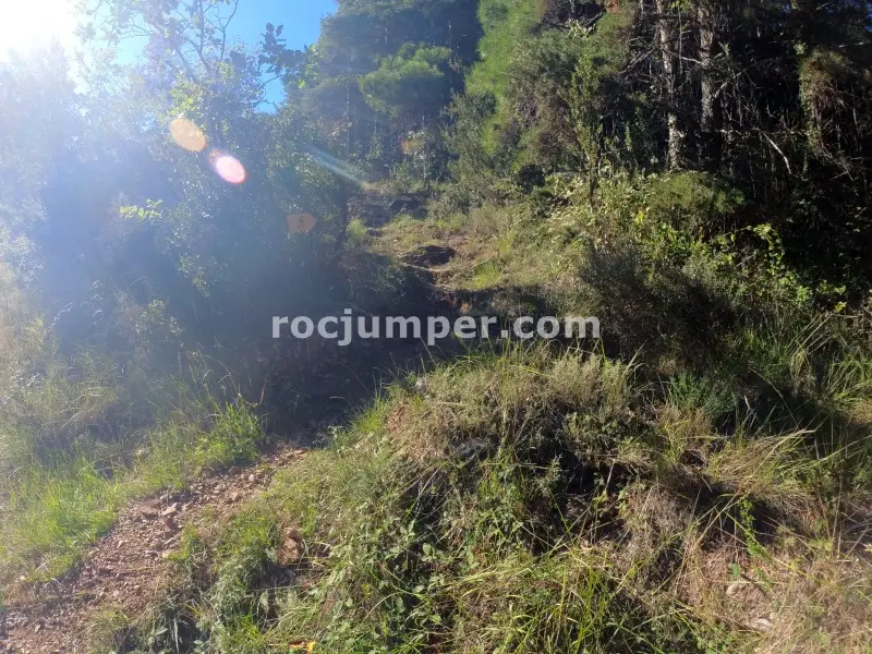 Barranc del Bosc de Serradell