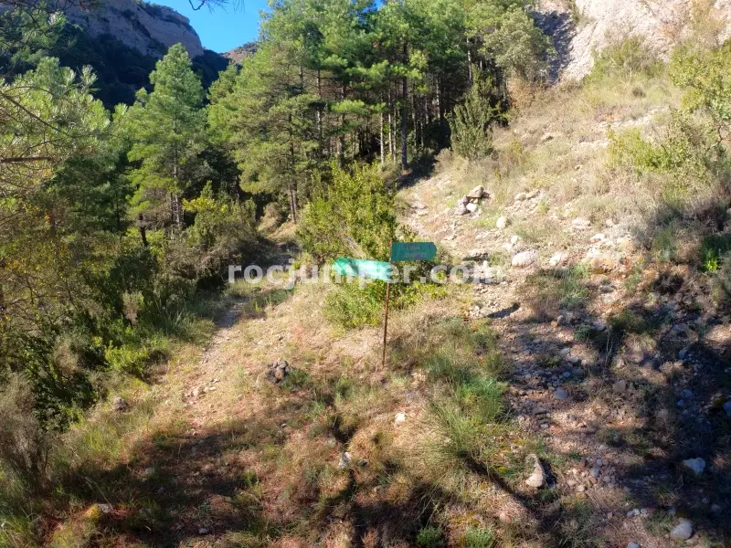 Barranc del Bosc de Serradell
