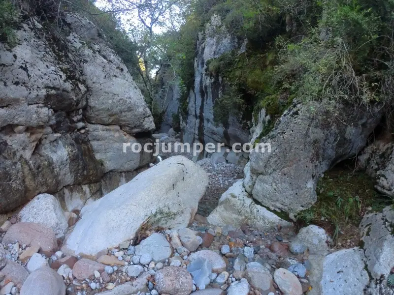 Barranc del Bosc de Serradell