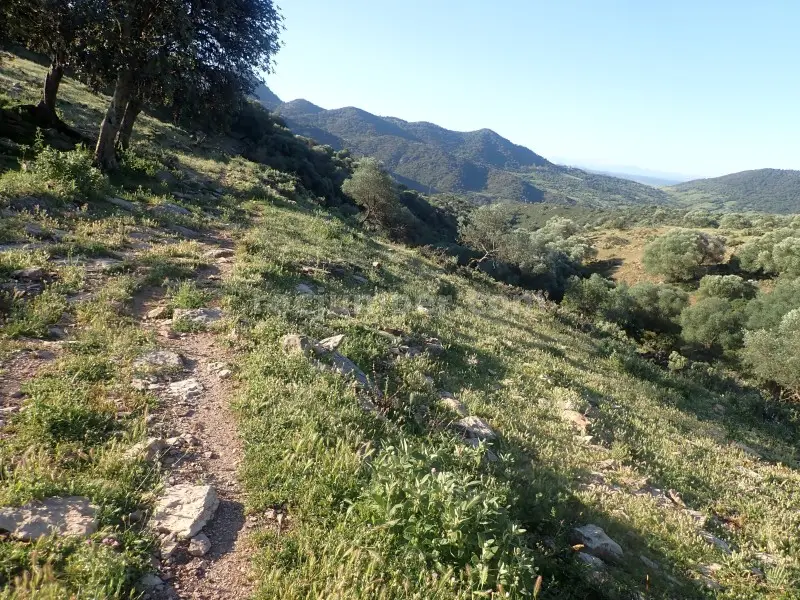 Barranco Las Buitreras o Guadiaro El Colmenar, Málaga La Catedral de Barranco en Andalucía