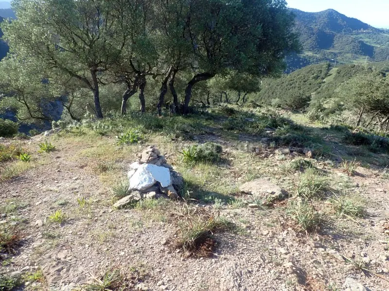 Barranco Las Buitreras o Guadiaro El Colmenar, Málaga La Catedral de Barranco en Andalucía