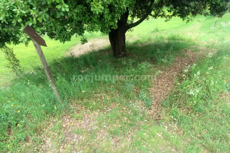 Torrent de Cal Patzi o Font dels Avets