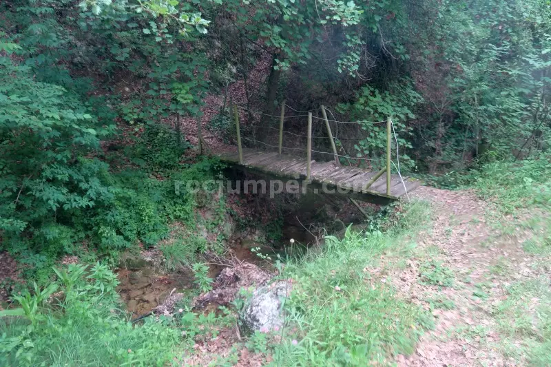 Torrent de Cal Patzi o Font dels Avets