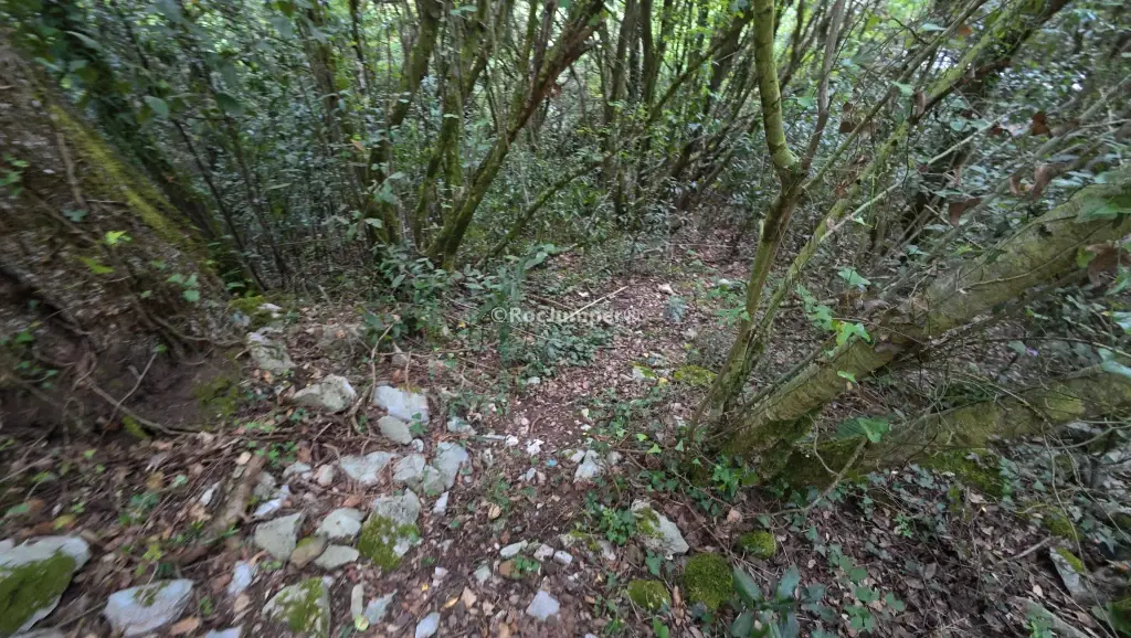 Barranco de Río Calera Inferior