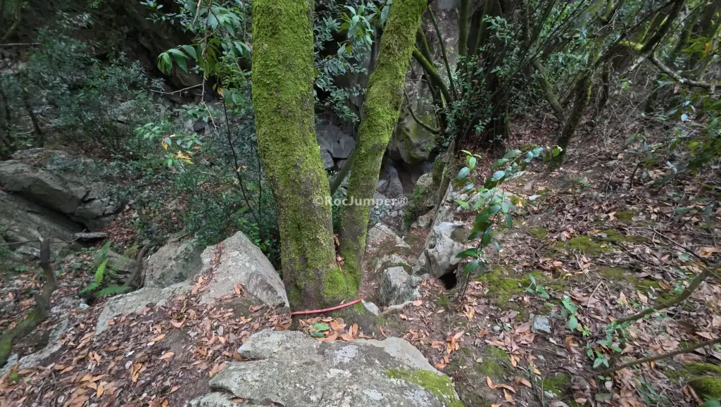 Barranco de Río Calera Inferior