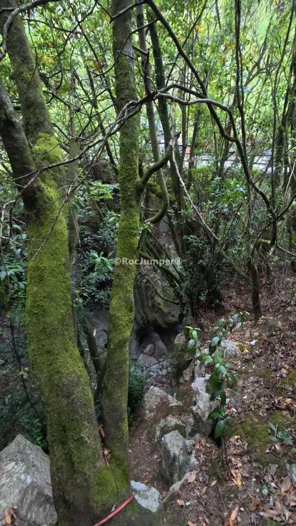 Barranco de Río Calera Inferior