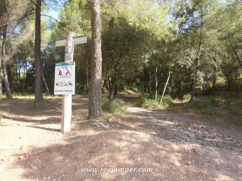 Canal Joc de l’Oca o Torrent del Migdia Inferior Montserrat, Barcelona Sólo Descenso