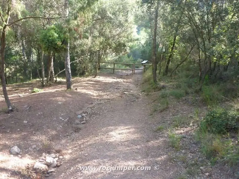 Canal Joc de l’Oca o Torrent del Migdia Inferior Montserrat, Barcelona Sólo Descenso