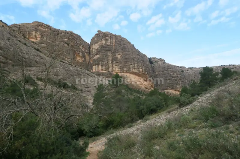 Canal Patxi