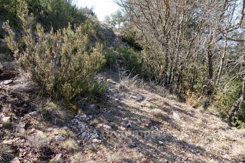Canal de la Piula