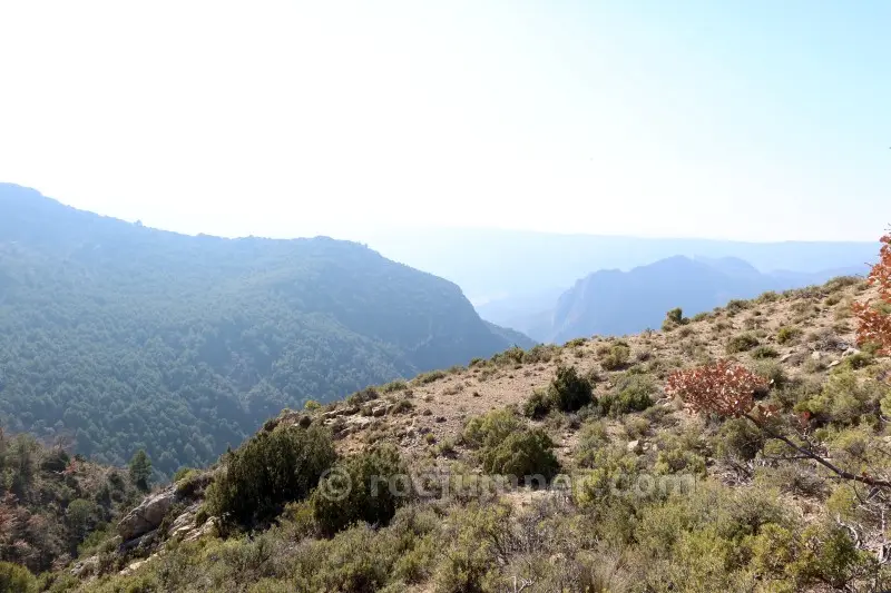 Canal de la Piula
