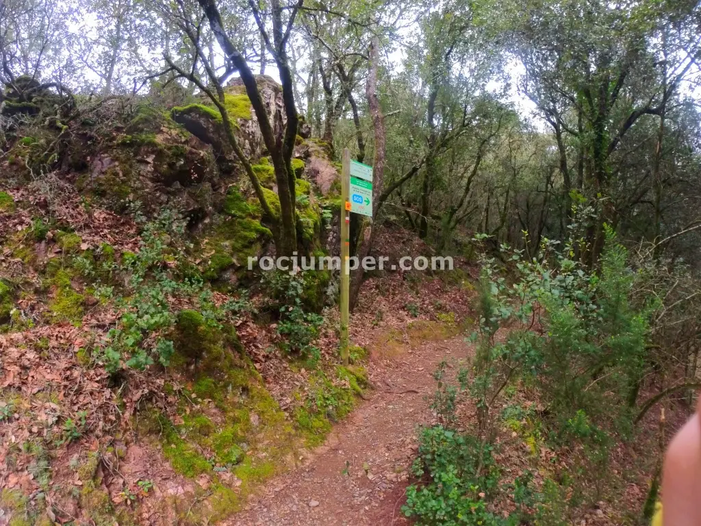 Gorgues de les Canals o Torrent de la Comella