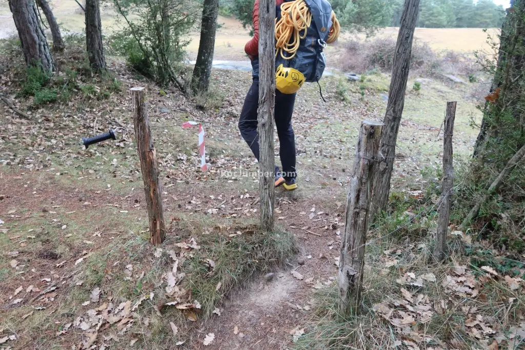 Rasa de Cal Catriques o les Canals