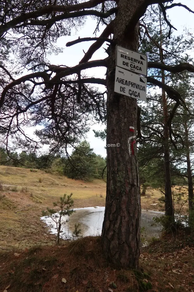 Rasa de Cal Catriques o les Canals