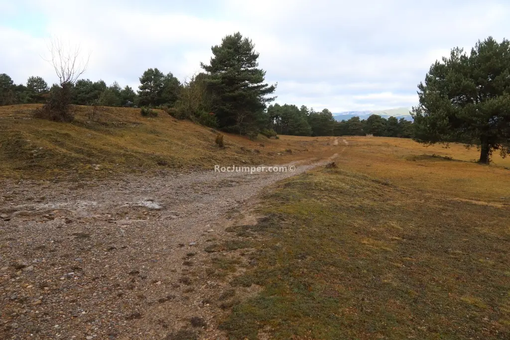Rasa de Cal Catriques o les Canals