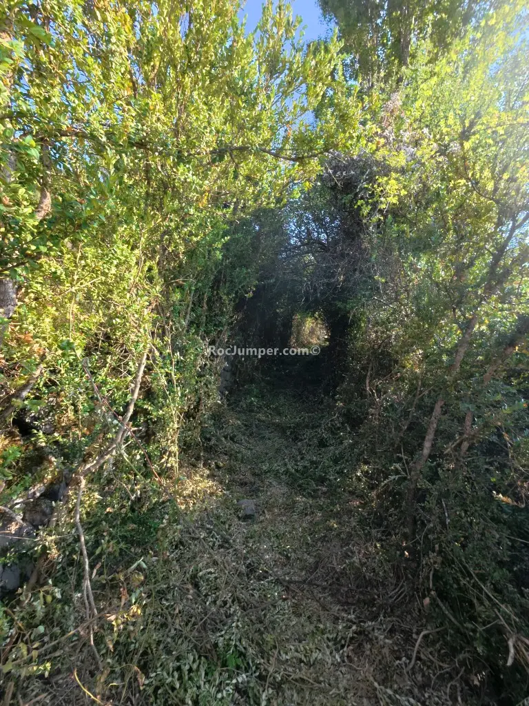 Barranco de Chardal Integral
