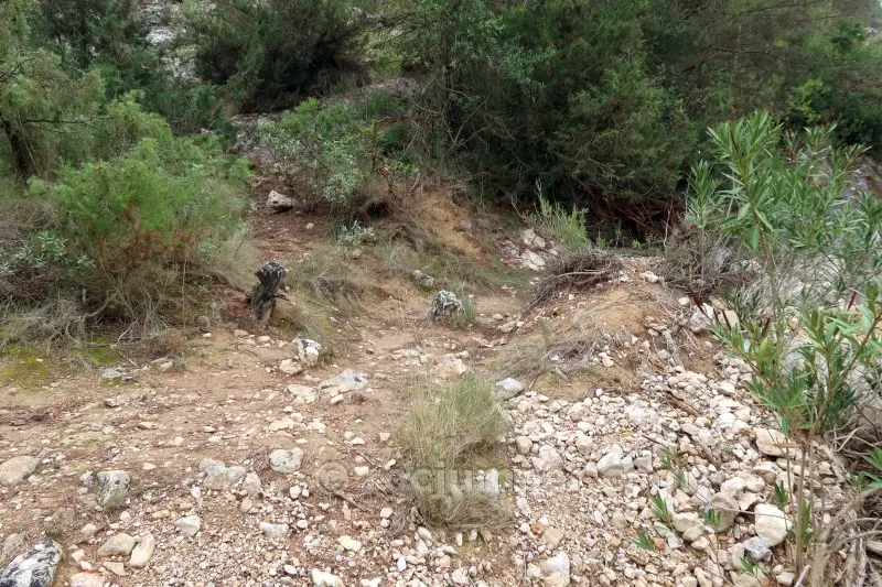 Barranco del Ciervo o de la Fuente