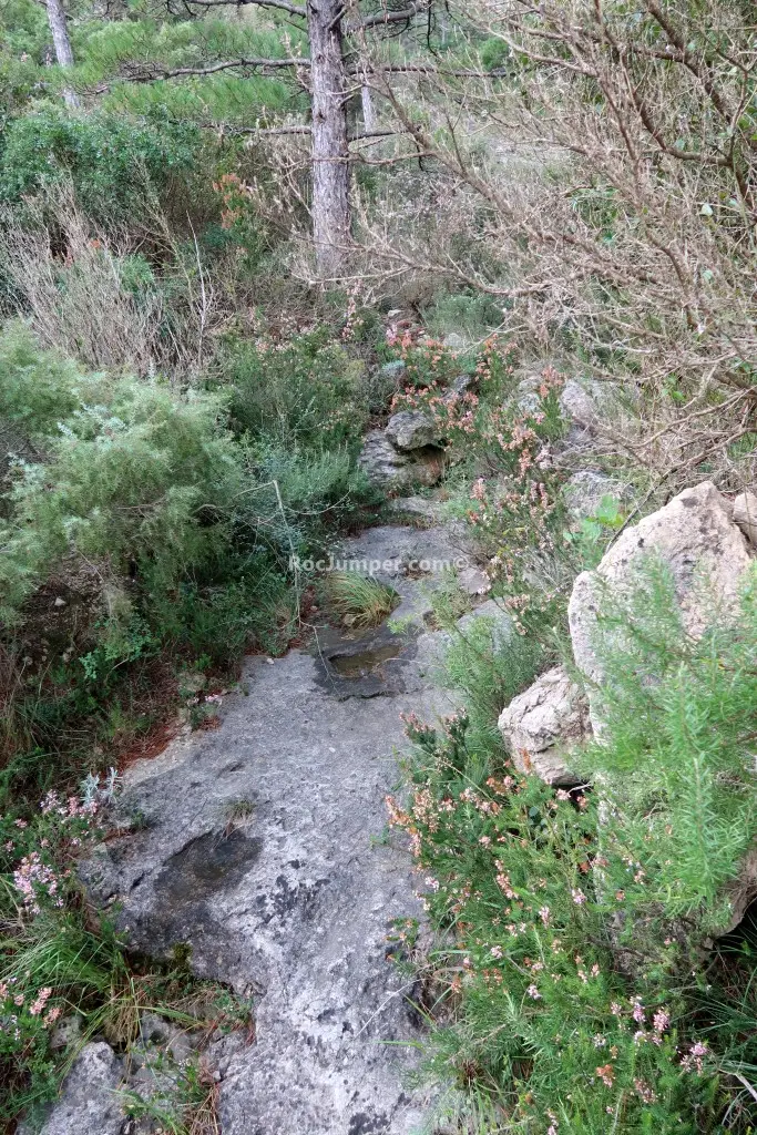 Barranc dels Clots