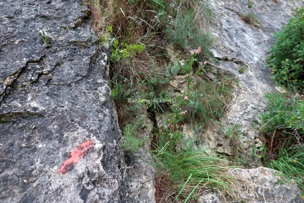 Barranc dels Clots