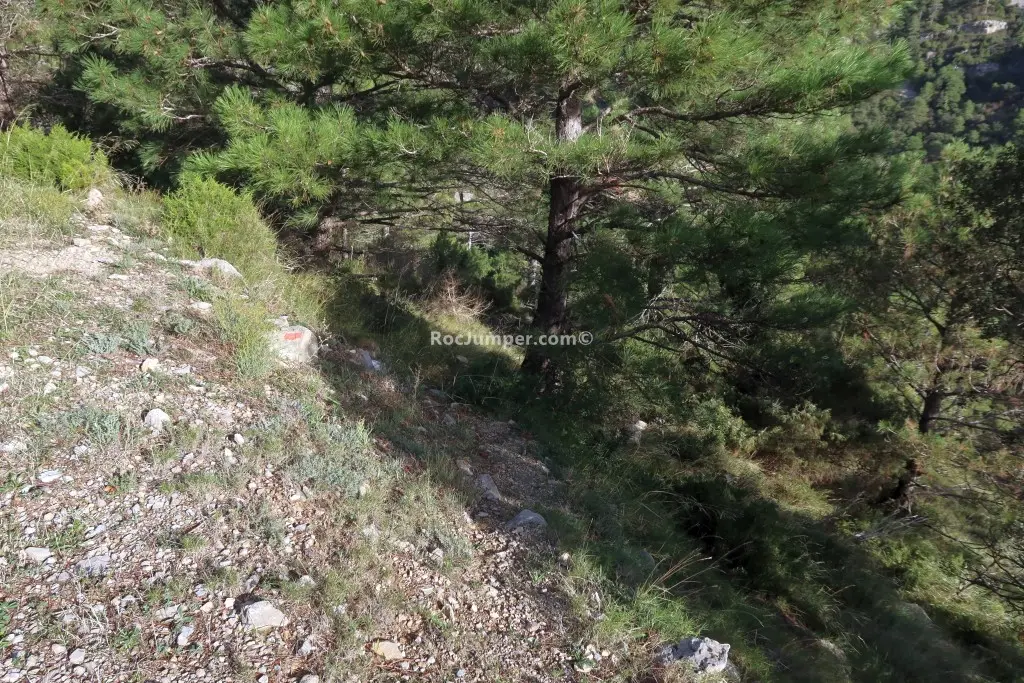 Barranc del Cocó Fondo + Vía Ferrata Gotellera K2/K4