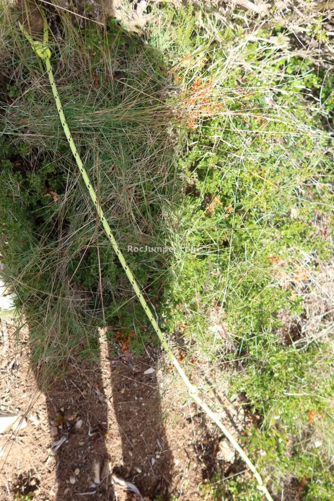 Barranc del Cocó Fondo + Vía Ferrata Gotellera K2/K4