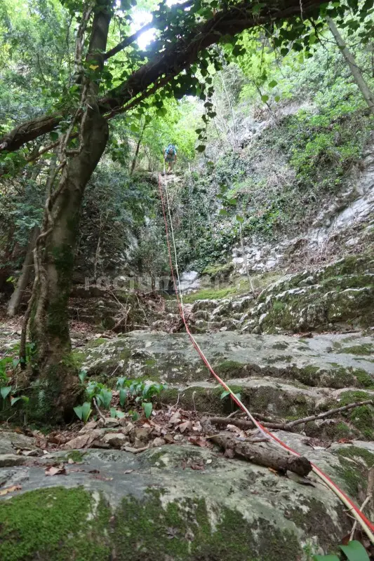 Barranc del Coll de Sant Ramon