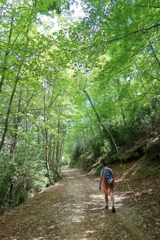 Barranc del Coll de Sant Ramon