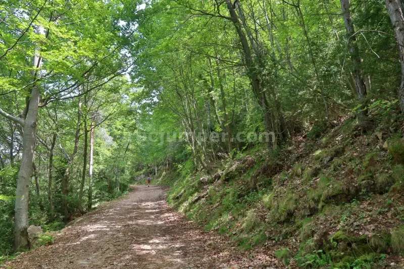 Barranc del Coll de Sant Ramon