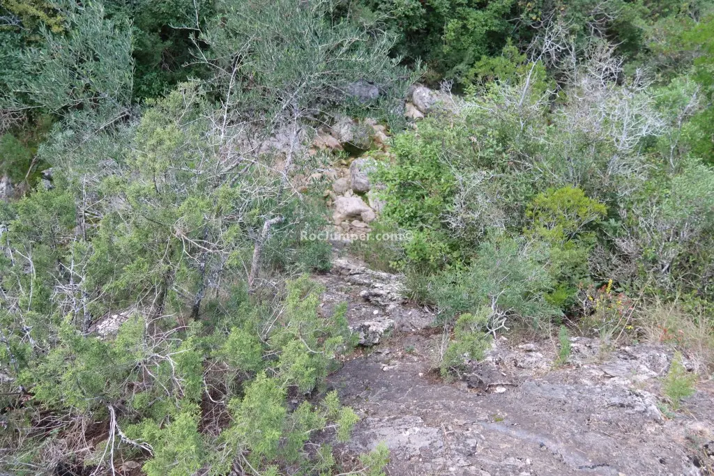 Salt del Colom