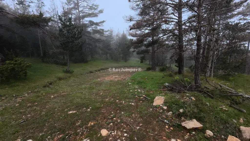 Torrent de Comabona