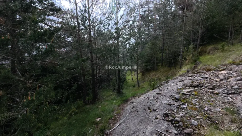 Torrent de Comabona