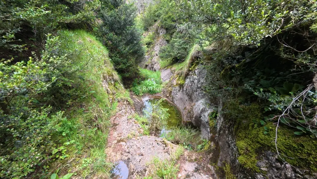 Torrent de Comabona