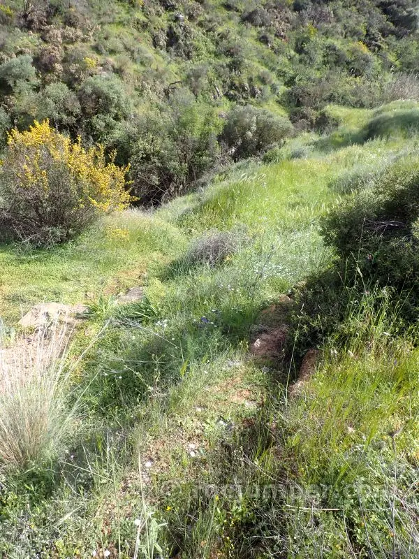 Barranco del Copón o Arroyo Fuente de la Teja o Nepomuceno