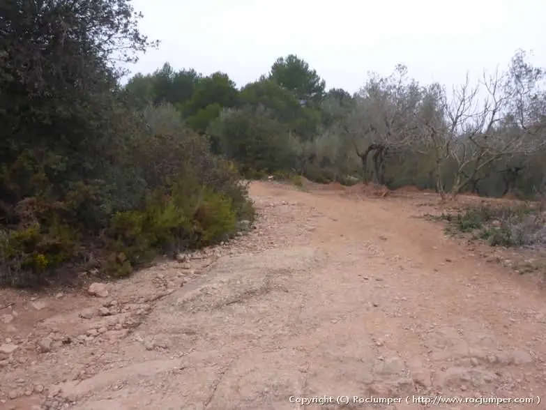 Cova de l’Arcada + Torrent de la Coma Alta