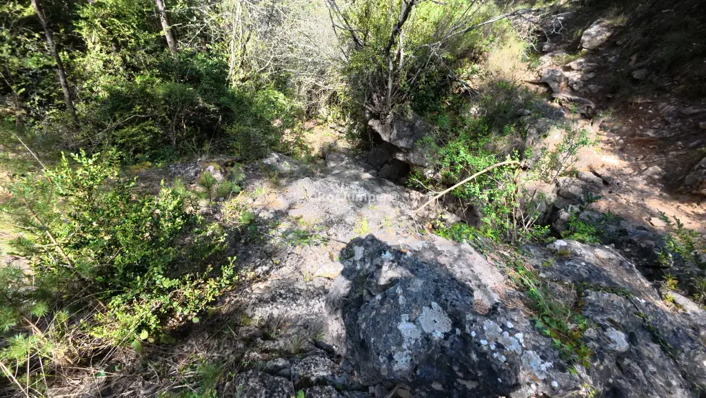 Barranc de l’Encens + Barranc de les Tosques con 1 Coche