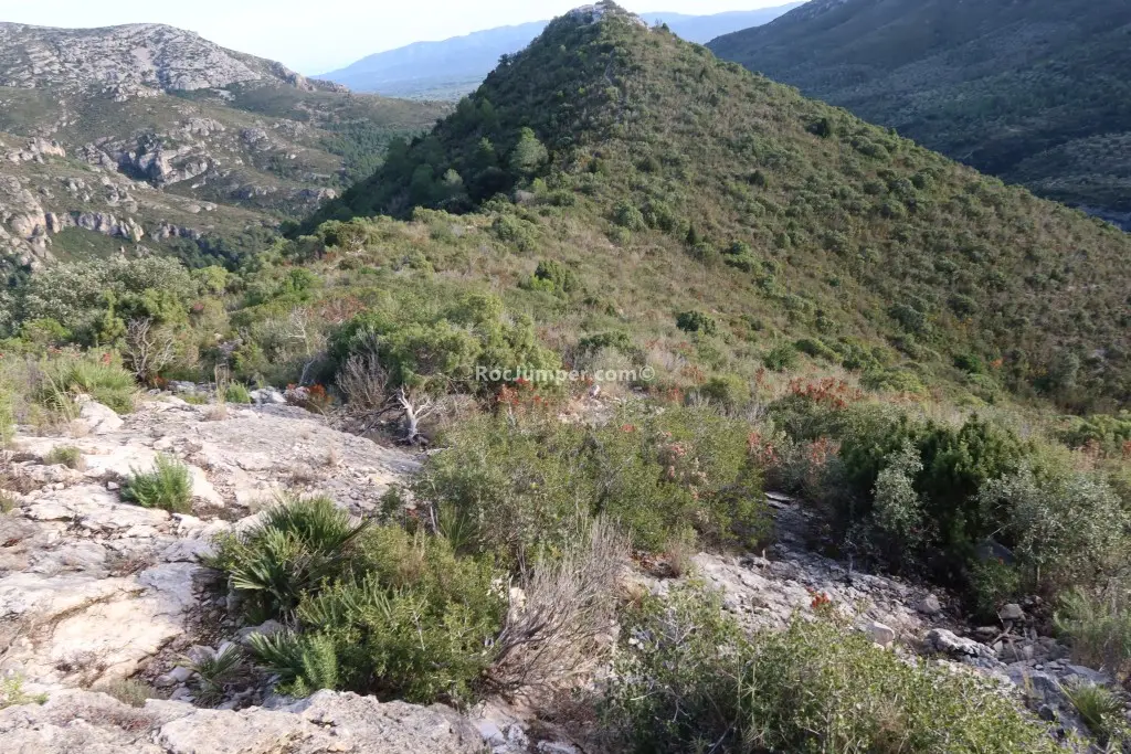 Barranc del Faixó de Palomet