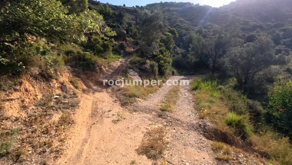 Barranc de la Font de l’Àrtic