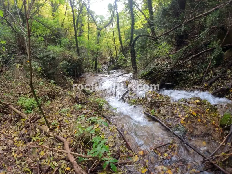 Torrent de la Font del Freixe + Riera d’Ogassa-Engorjat del Negre