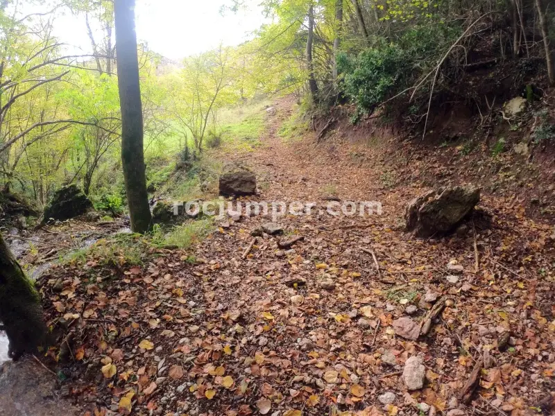 Torrent de la Font del Freixe + Riera d’Ogassa-Engorjat del Negre